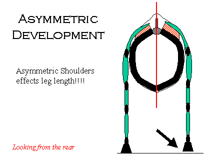 assymmetricrider2